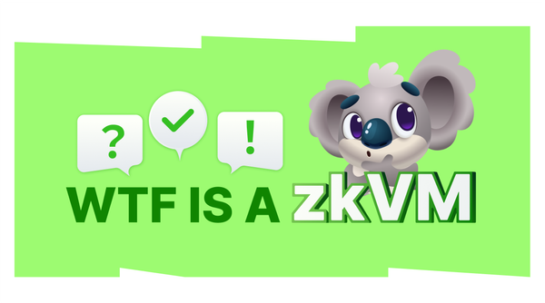 WTF is a zkVM?